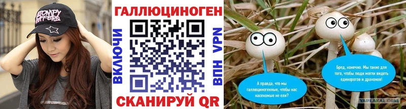 Купить  Олонец  Псилоцибиновые грибы мухоморы 